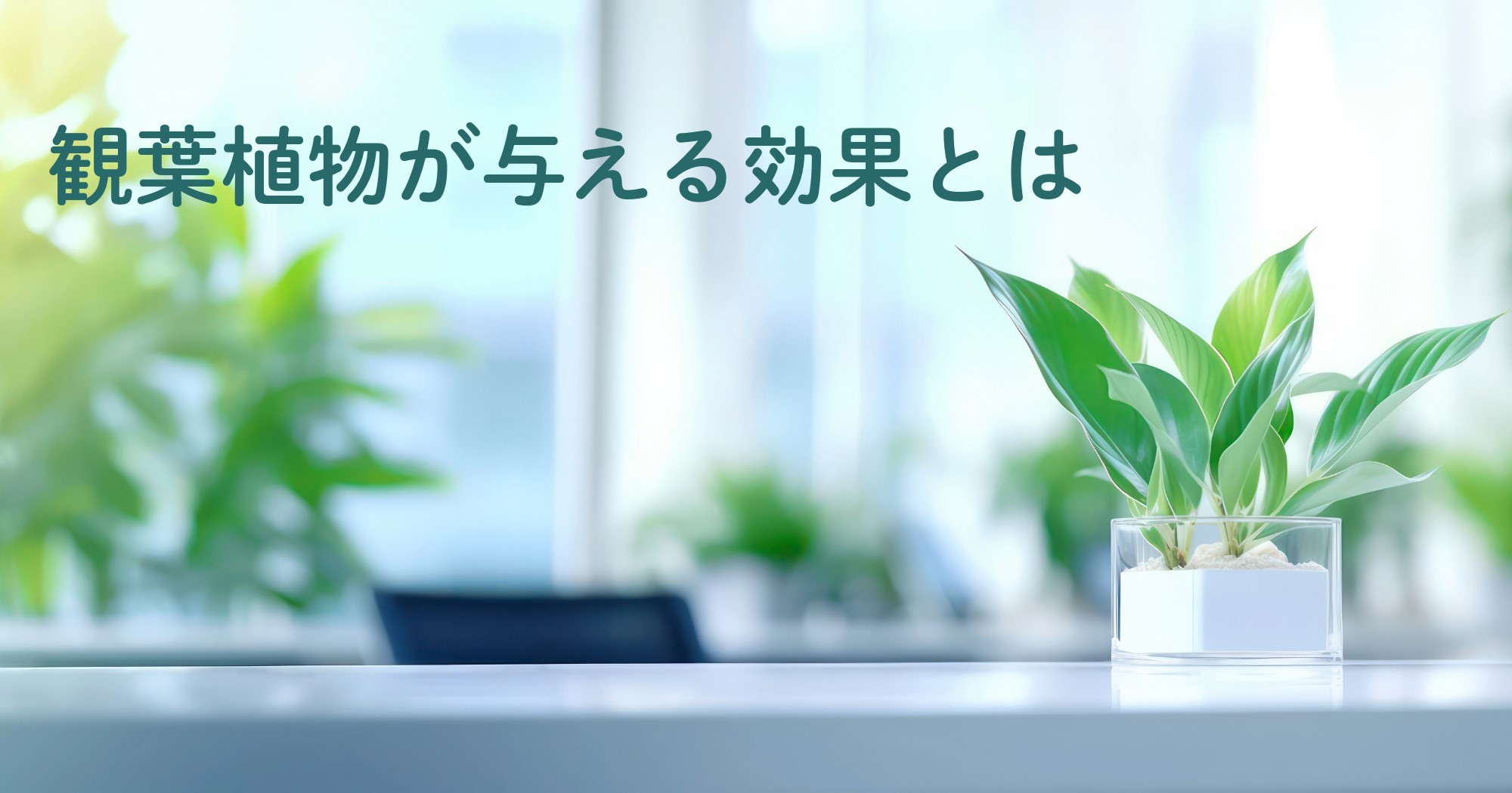 【整骨院の内装】観葉植物が与える効果とは？