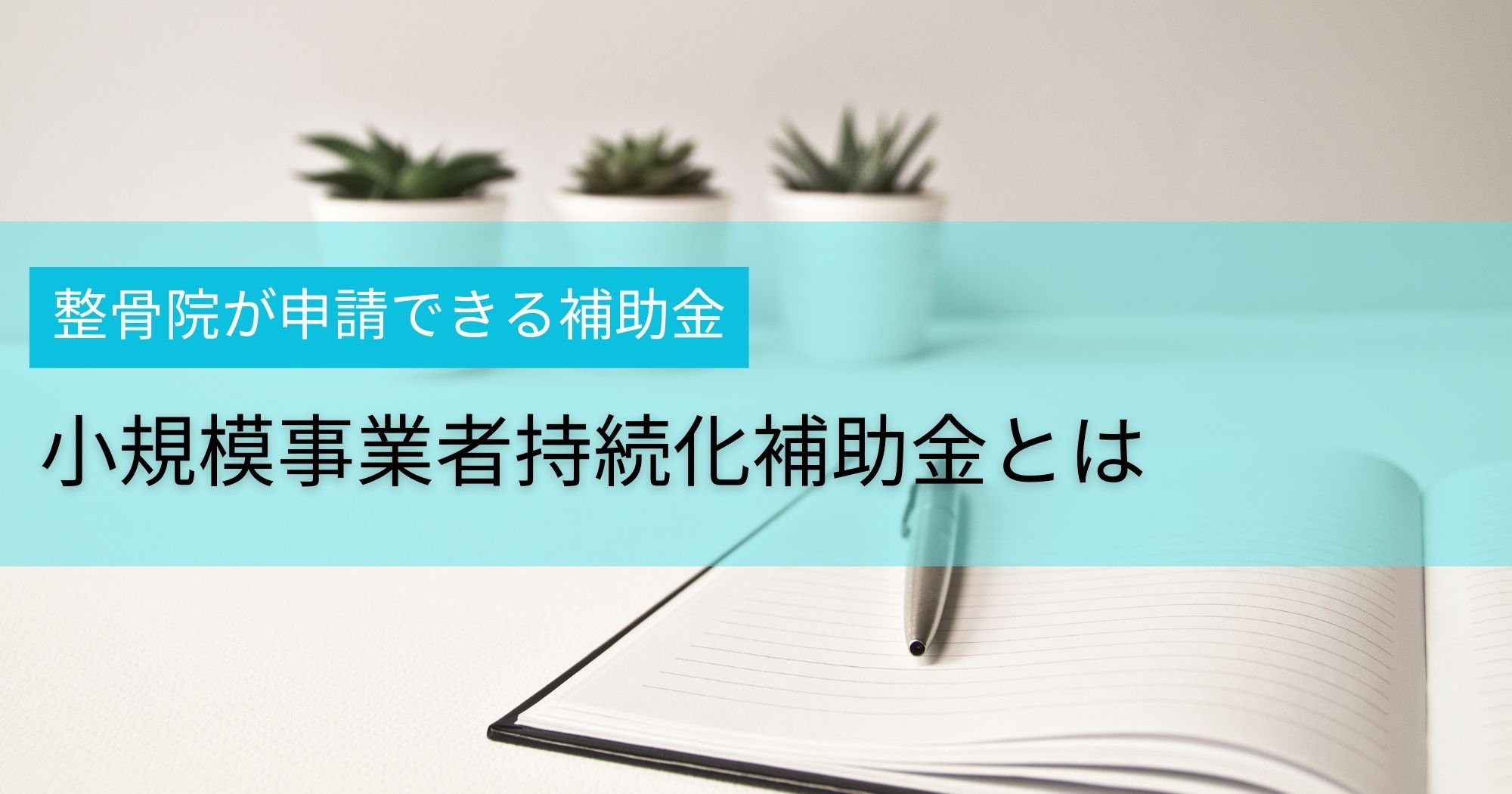 整骨院が申請できる補助金【小規模事業者持続化補助金】