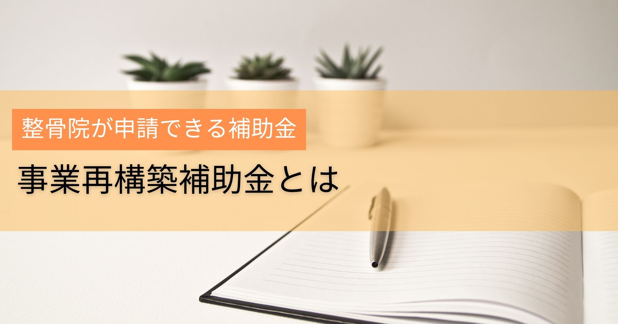 整骨院が申請できる補助金【事業再構築補助金】│2025年1月更新
