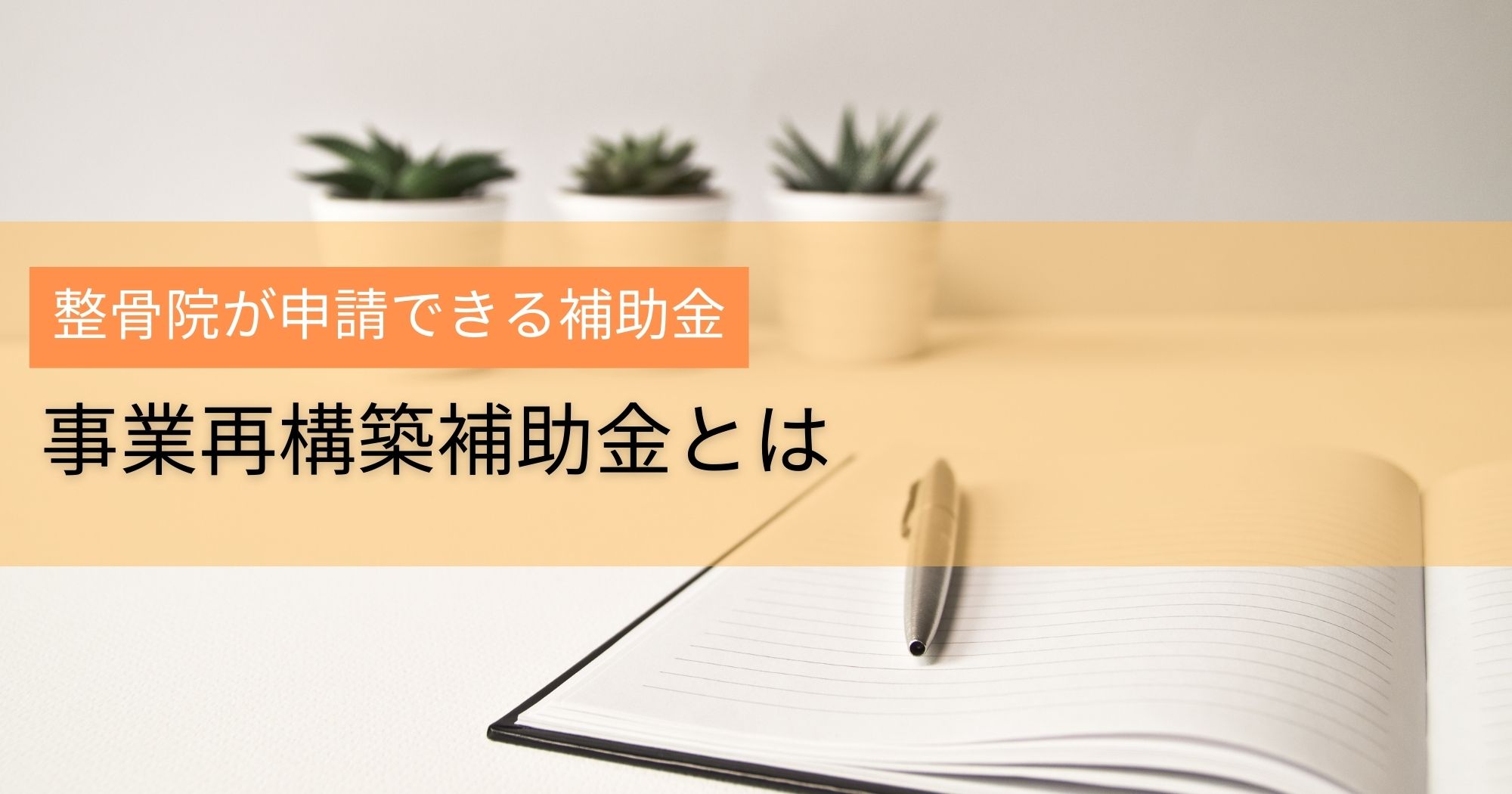 整骨院が申請できる補助金【事業再構築補助金】