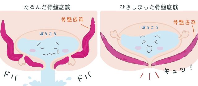 骨盤底筋が衰える主な原因