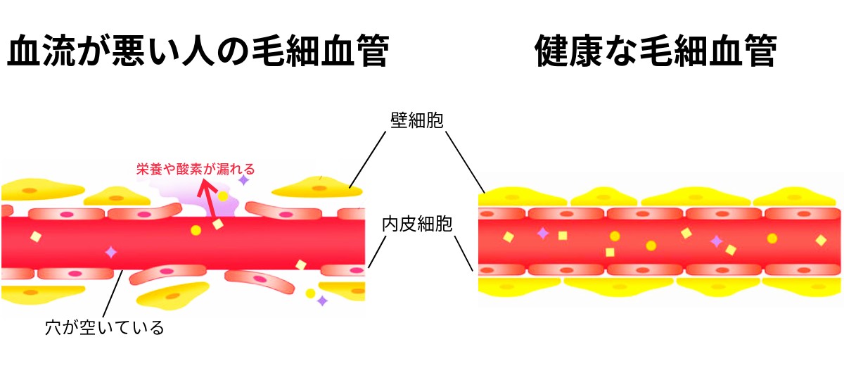 ゴースト血管ができるメカニズム