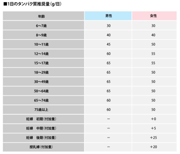 1日のタンパク質推奨量