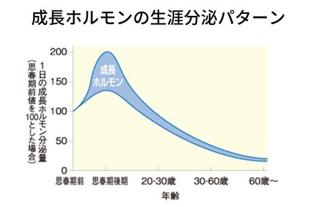 成長ホルモンの生涯分泌パターン